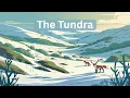 Tundra Biome Explained Climate Location Animals Plants