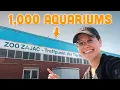 The LARGEST Pet Store in the WORLD