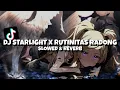 Download Lagu DJ STARLIGHT X STEREO LOVE X RUTINITAS RADONG {Slowed + Reverb} VIRAL FYP TIKTOK🔥