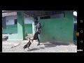 Download Lagu Viral!!!! Vidio orang gila vs ayam qkwkkwk