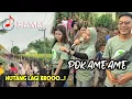 Download Lagu VIRAL POK AME AME BELALANG KUPU KUPU [ HUTANG ] VERSI KOPLO JALANAN KECIMOL IRAMA DOPANG