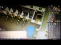 OSRS DFS Collection 30 Dragonfire Shields
