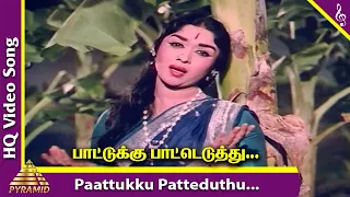 paattukku patteduthu video song padagotti movie songs mgr saroja devi pyramid music
