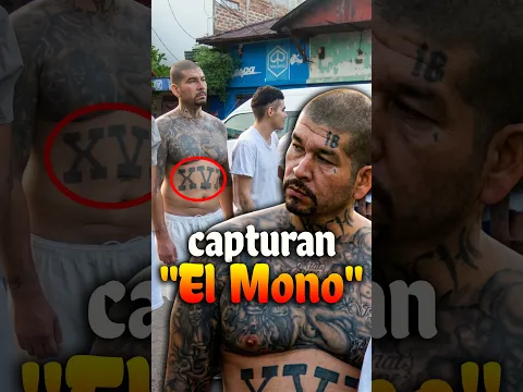 Estaba escondido en una Casa Abandonada