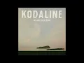 Kodaline - Vultures