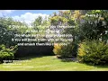 Psalm 2 - New Living Translation NLT Take the WORD at its word taketheword com