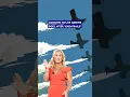 Download Lagu Marjorie Taylor Greene Brings Her \