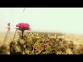 คำฮัก - แซ็ค ชุมแพ【OFFICIAL 】