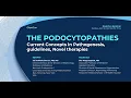 THE PODOCYTOPATHIES Current Concepts in Pathogenesis guidelines Novel therapies