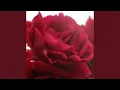 Download Lagu Wǒ Xǐhuan Kàn Nǐ Tiàowǔ