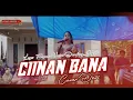 Download Lagu CIINAN BANA - Devi || Dendang Minang Versi Remix Joget 2024 || Player Adam Marda, Party Jaya Music