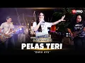 Download Lagu Dara Ayu - Pelas Teri ( Official Music Video )