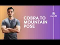 How to Do Cobra to Mountain Pose Yoga for Beginners Yoga Pose Tutorial cult