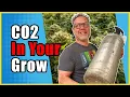 Easy Ways Cannabis Growers Add CO2 to Their Gardens