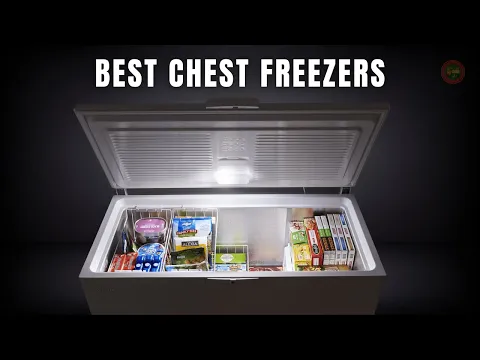 Download MP3 Top 5 Best Chest Freezers in 2023 [don't buy one before watching this]