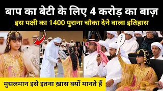 अरब मुस्लिम बच्ची की वो वीडियो जिसने पूरी दुनिया को हैरान कर दिया है । Falcon and Arab Musalman 