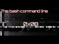 Filename Expansion Characters Command Substitution 0x0B