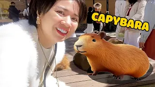 PANDA GẶP CAPYBARA NGOÀI ĐỜI THẬT* THĂM NÔNG TRẠI CAPYBARA*NUÔI CAPYBARA  PUPPY FARM ĐÀ LẠT