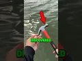 Download Lagu 🐟Dit is DE BESTE MANIER om een vis te vangen!😲🐟