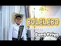 Download Lagu Gung Priya - Bolelebo (cover)