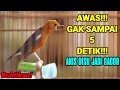 Download Lagu PUTAR 5 DETIK SAJA DIJAMIN ANIS MERAH ANDA SEKETIKA GACOR DAN LANGSUNG TELER