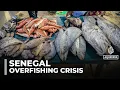 Download Lagu Europe’s seafood demand drains Senegal’s fish stocks, leaving coastal communities hungry