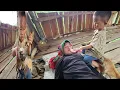 Download Lagu Single mother recovered from illness and brought chicken with Tua to thank her ex-husband