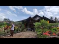 Download Lagu BIKIN KANGEN KAMPUNG !! SUASANA PAGI HARI DAN KERAMAHAN PENDUDUKNYA. SUASANA PEDESAAN JAWA TENGAH