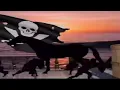 One Piece Hood Irony