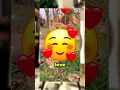 Download Lagu Dit is waarom je je nooit door meningen moet laten vernietigen 😢