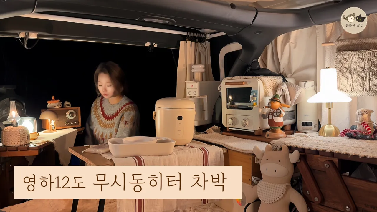 -12도 무시동 히터 차박 ❄️ 양평 산속에서 보내는 조용한 겨울 캠핑 브이로그 サムネイル