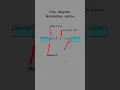 UML Association Syntax explained Multiplicity Roles Navigability
