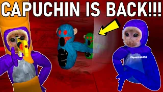 Capuchin is BACK and I Find the HORROR Monkeys Oculus Quest 2