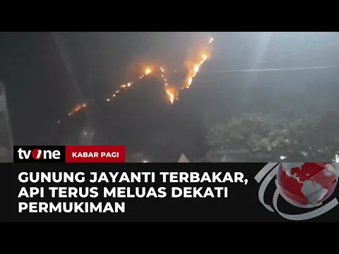 Merah Menyala! Puluhan Hektar Lahan di Gunung Jayanti Terbakar