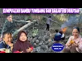 Lagu MENCARI DAN MENGUMPULKAN BAMBU TUMBANG UNTUK DIJUAL, ISTIRAHAT LANGSUNG BAKAR UBI DIHUTAN BAMBU 