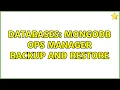 Databases MongoDB Ops Manager backup and restore