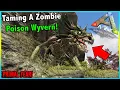 KNOCKING OUT EVERYTHING WITH MY PEGASUS AND TAMING A ZOMBIE WYVERN ARK PRIMAL FEAR EP 11