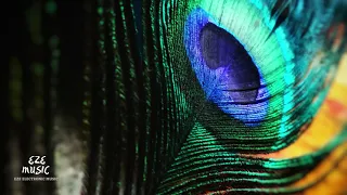 shimza asuk original mix 