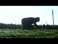 Alpha Nursery Tour 2020