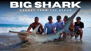 BEACH SHARK FISHING | HAMMERHEAD CAUGHT FROM THE BEACH