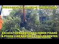Download Lagu DEMI LEBARKAN KALI!! EXCAVATOR BABAT HABIS POHON BANTARAN KALI BEKASI || KALI RAMENTES #dedimulyadi