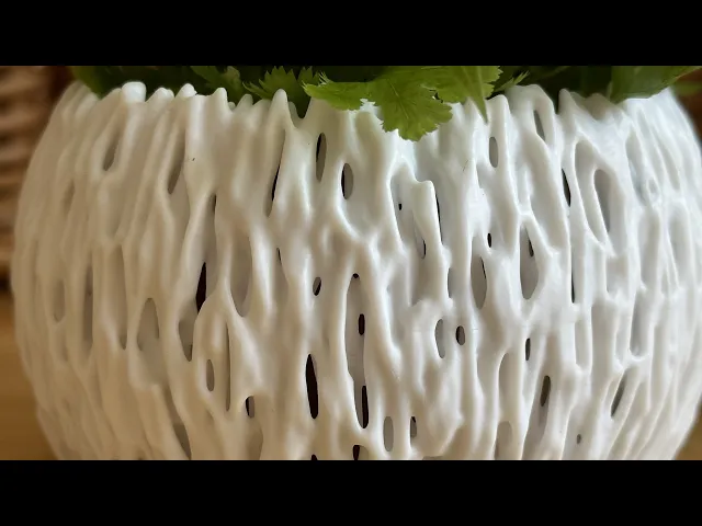 Banyan Bowl video thumbnail