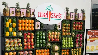 Gelson s Toluca Lake - Grand Opening