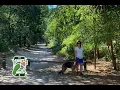 Download Lagu Losloopgebied son en breugel–sonse bos