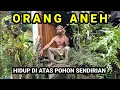 Lagu Yang Sedang Viral Orang Sakti Bertapa Selama 45 Hari Di Gunung Biru