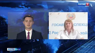 В Омске растет число ДТП с пьяными за рулём