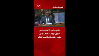 مندوب أميركا في مجلس الأمن  ترمب مهتم بلبنان وقدم مقترحات لإنهاء النزاع دندنها
