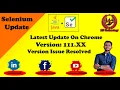 How To Fix Selenium Not Working On The Latest Version Of Chrome