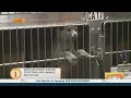 Stockton Animal Shelter