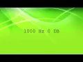 1000 HZ 0 DB TEST TONE 15 MINUTES 1KHZ